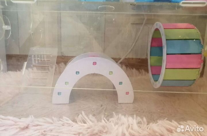 Клетка для джунгарского хомяка