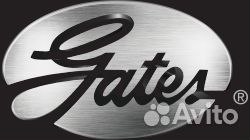 Ремень поликлиновой audi