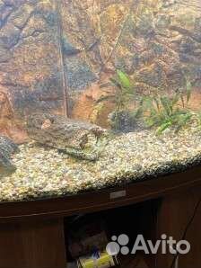 Аквариум с тумбой juwel