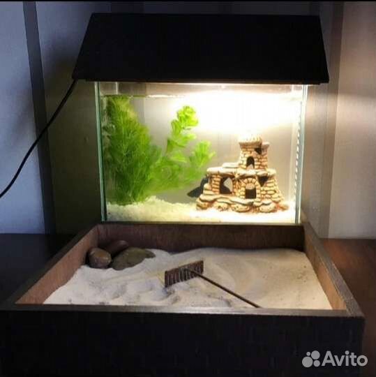 Аквариум