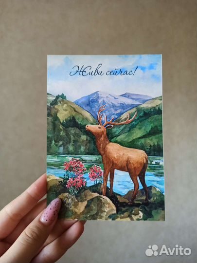 Почтовые открытки авторские