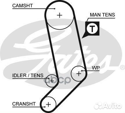 Ремень грм зубчатый с водяным насосом и роликам