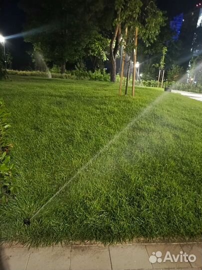 Рулонный Газон Волгоградский