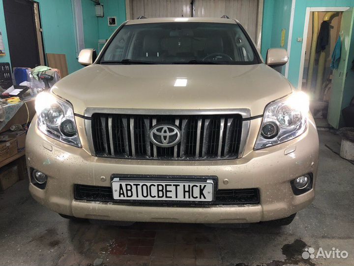 Дхо в поворотники Probright tdrl Toyota Prado 150