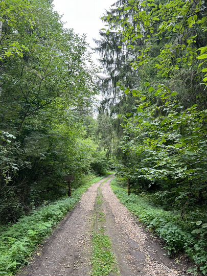 Участок 10 сот. (СНТ, ДНП)