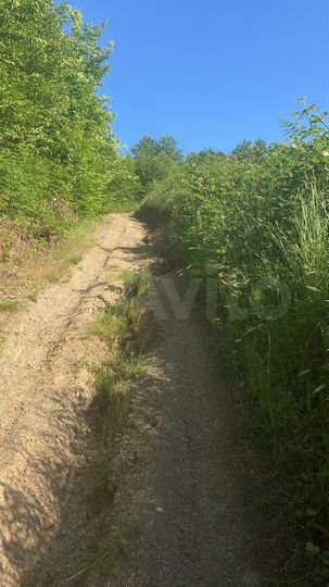 Участок 9,5 сот. (СНТ, ДНП)