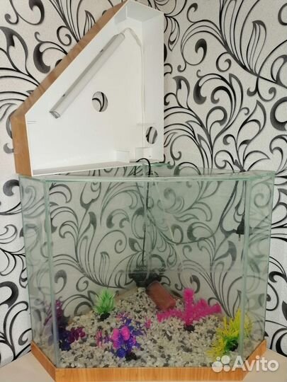 Продаю аквариум