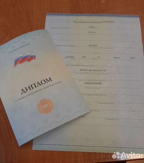 Услуги кинолога