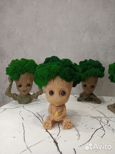 Грут со мхом