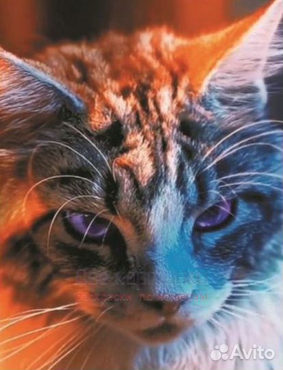 Алмазная мозаика 40x50 Суровый кот