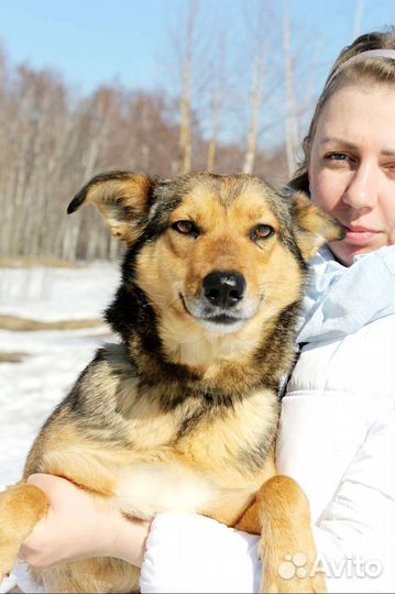 Милая Ася мечтает о доме