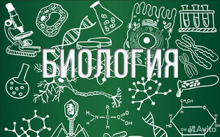Репетитор/ огэ /биология
