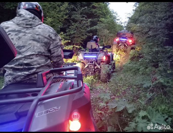 Аренда квадроциклов