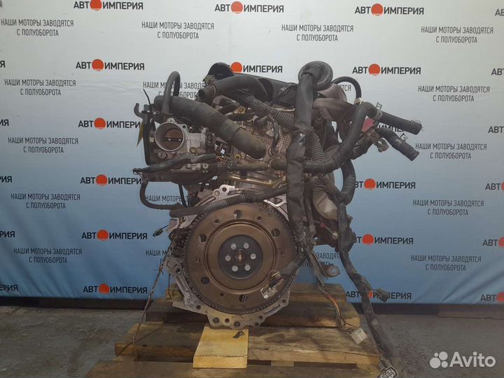 Двигатель toyota porte NNP11 1nzfe 3718869 2005