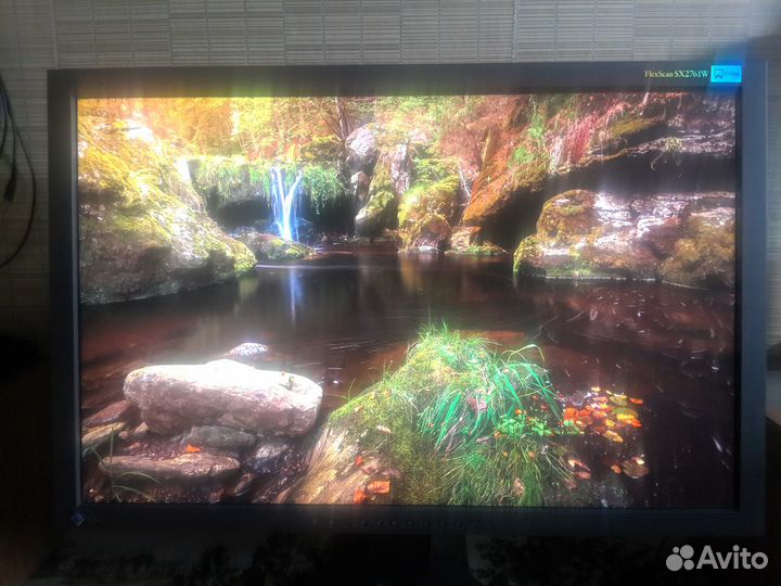 Монитор Eizo FlexScan SX2761W