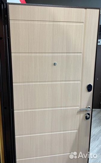 Входные металлические двери