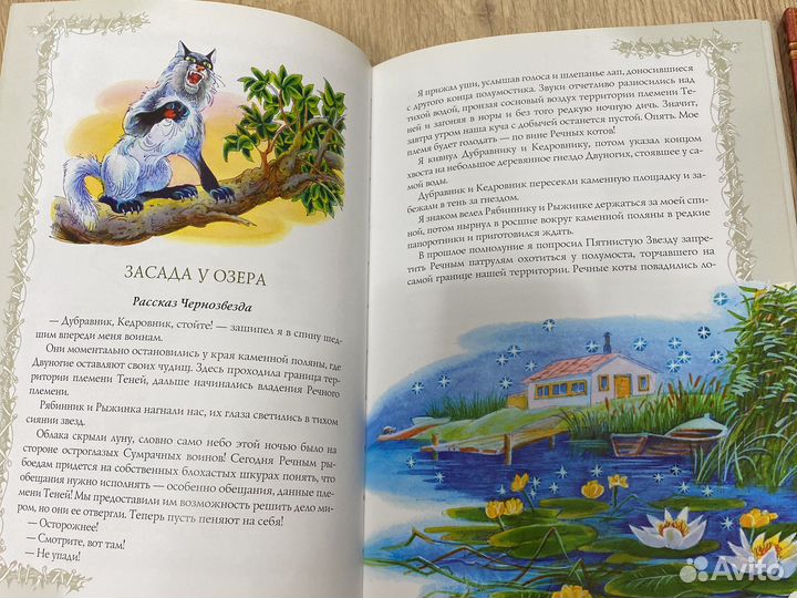 Комиксы книги коты воители,крестовой поход хроно