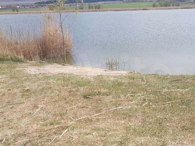 Участок 53 сот. (СНТ, ДНП)