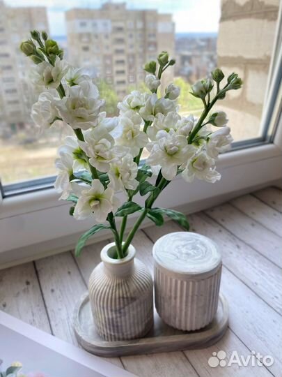 Маттиола (левкой)