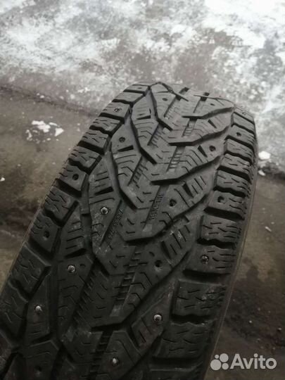 Tigar Ice 195/65 R15
