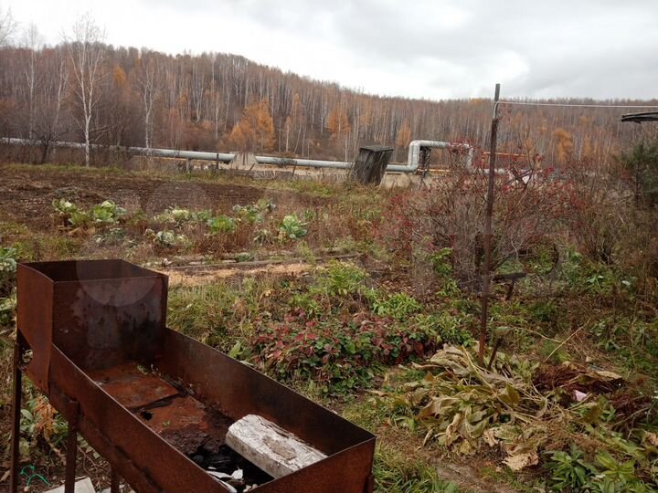 Дом 35 м² на участке 12 сот.