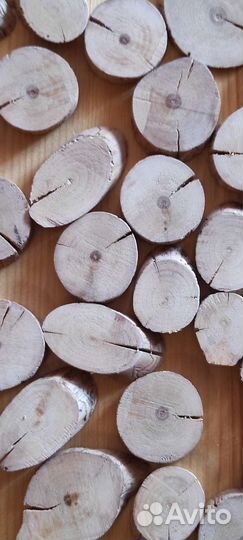 Спилы дерева (вишня)