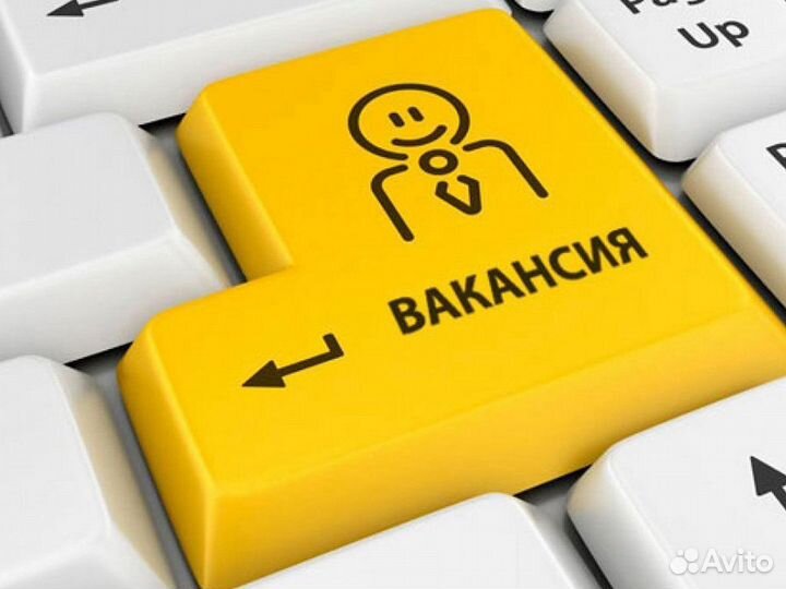 Офис менеджер, администратор, без опыта