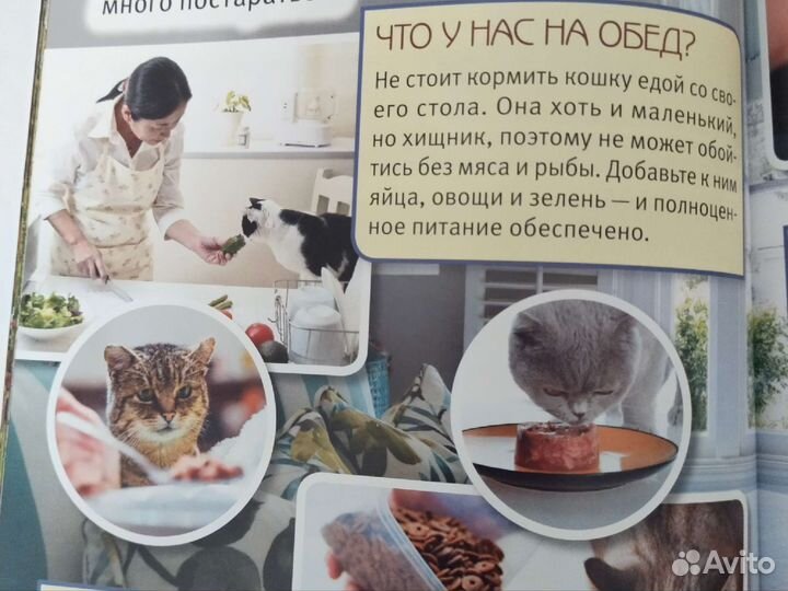 Книги о кошках