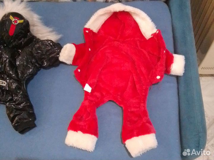 Одежда для тоя