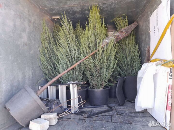 Грузоперевозки, переезды