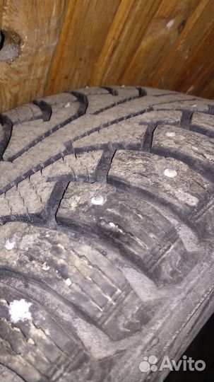 Nokian Tyres Nordman 5 195/65 R15 95T