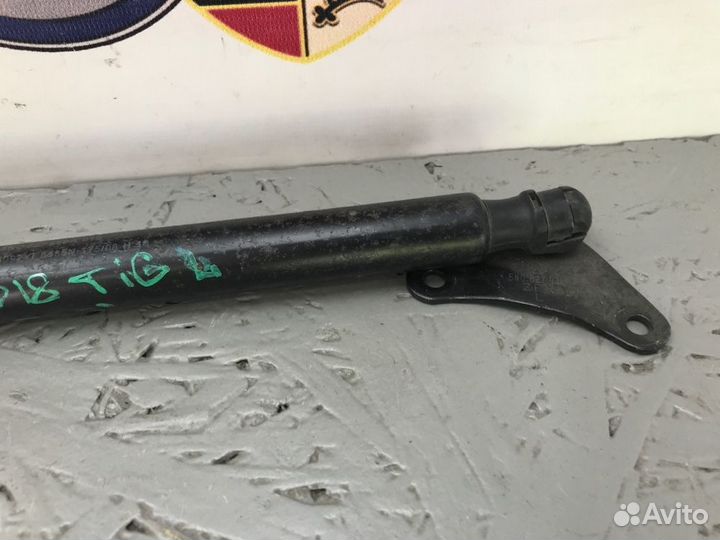 Амортизатор багажника Volkswagen Tiguan 5N cawa