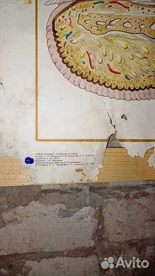 Плакат СССР Анатомия человека. Кожа