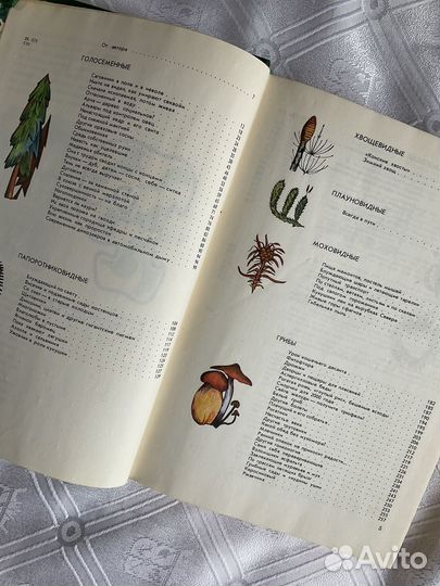 Лекарственные растения Мир растений