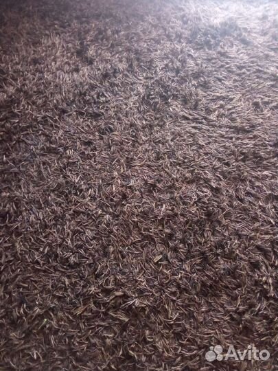 Ковер шегги бу