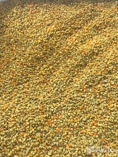 Пыльца пчелиная 2024