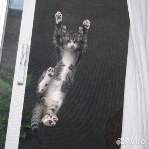 Антикошка москитная сетка на окна