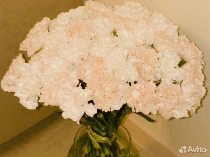 Гвоздики с доставкой