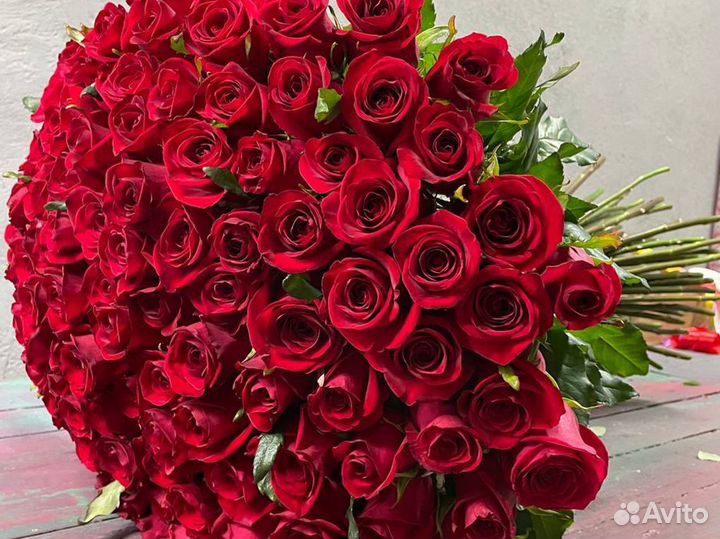 101 роза букет цветов цветы опт 15 21 25 31 45 51