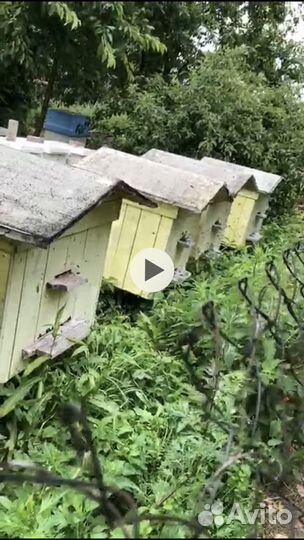 Улья 16 рамочные