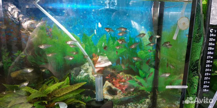 Украшение для аквариума