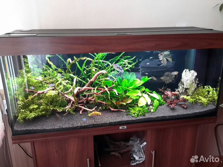 Чистка/обслуживание аквариумов