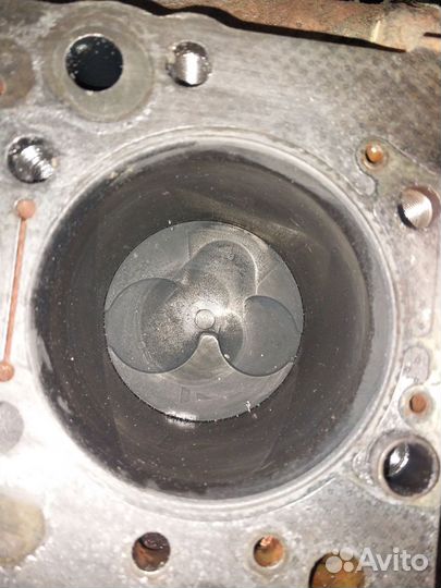 Шорт блок 4D56