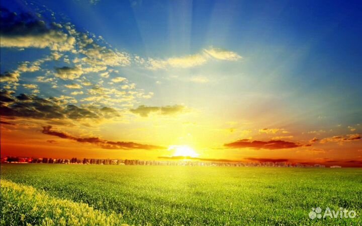 Водитель в,с