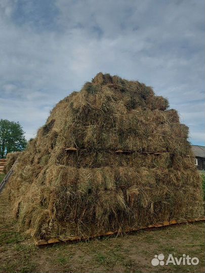 Сено в кипах торга нет