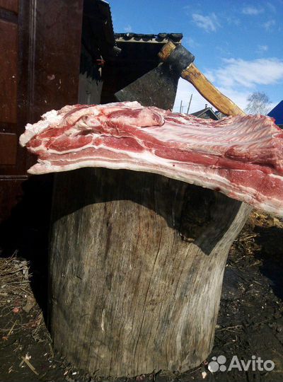 Мясо свинина