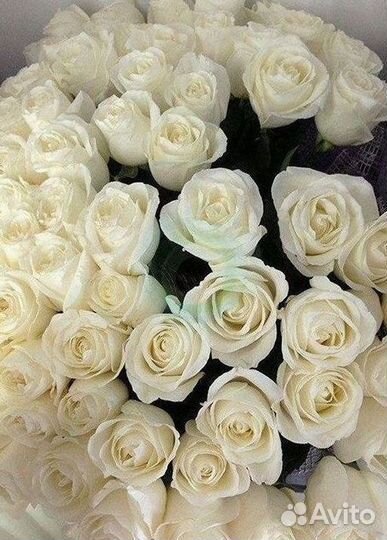 Высокие розы, букеты, цветы Доставка Доставка