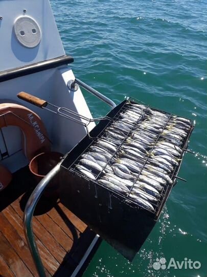 Морская рыбалка