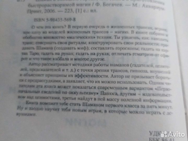 Шаман в большом городе