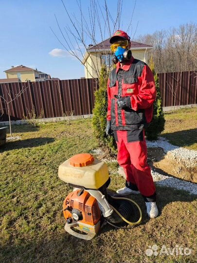 Дезинфекция